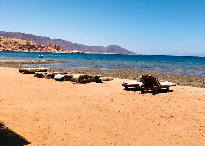 Reef Camp